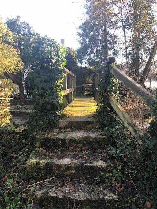 Eco-Friendly Dorset Cottage With Spa Set In Heart Of Countryside Sydling St Nicholas Eksteriør bilde