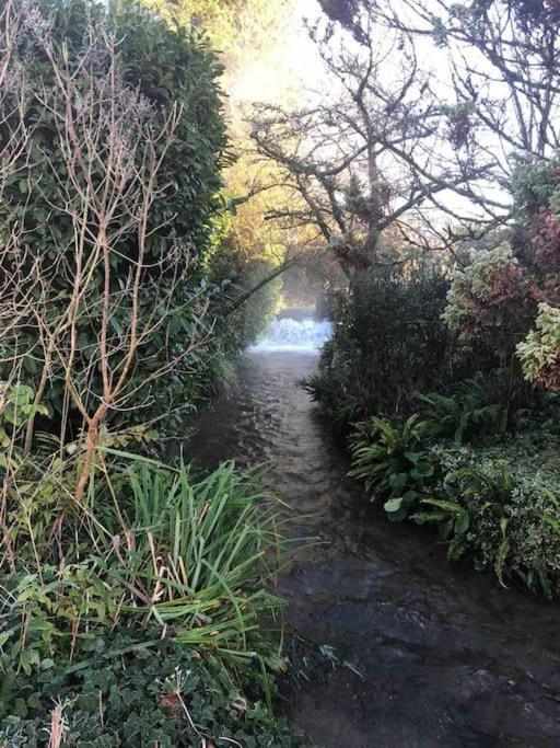 Eco-Friendly Dorset Cottage With Spa Set In Heart Of Countryside Sydling St Nicholas Eksteriør bilde
